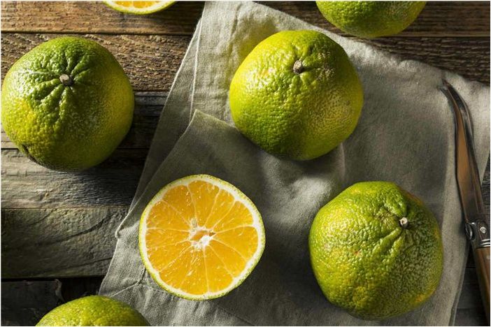 16 распространенных цитрусовых фруктовых деревьев