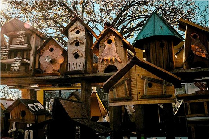 Топ-10 проблем со скворечниками и их решения
