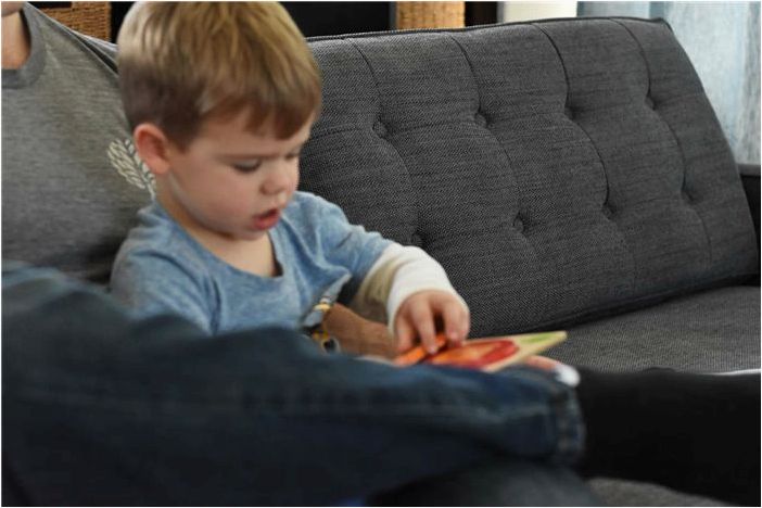 West Elm Drake Sofa Review