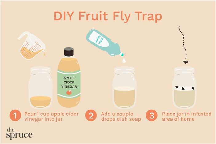 3 лучших DIY ловушки для плодовых мух для избавления от надоедливых мух
