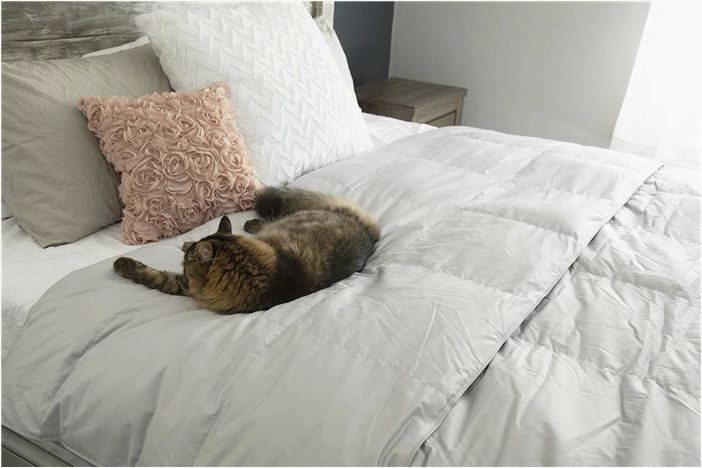 The Company Store Alberta European Down Baffled Comforter Review