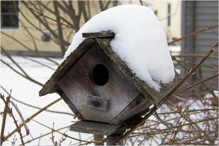 Зимние укрытия для птиц