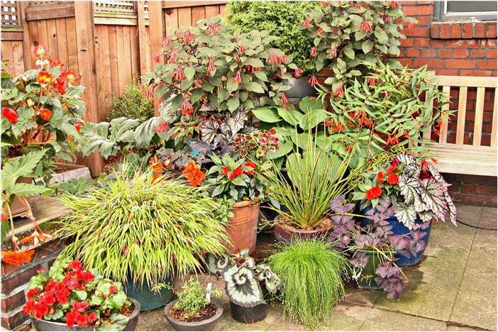 49 идей маленьких садов для пышного заднего двора