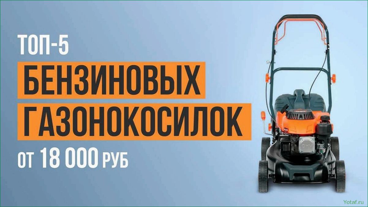 8 лучших газонокосилок 2023 года