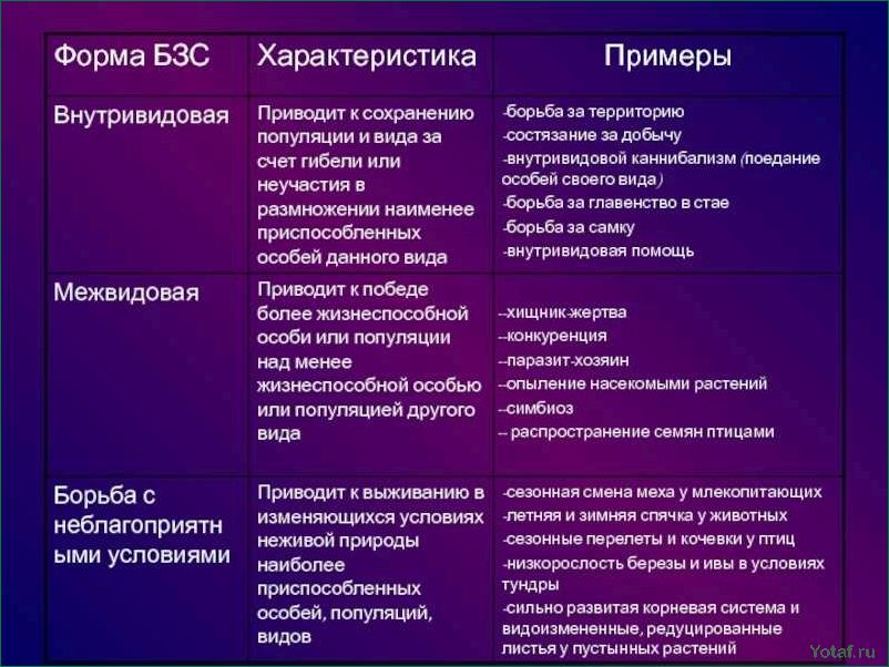 Выявление и борьба с ирисовыми бордерами