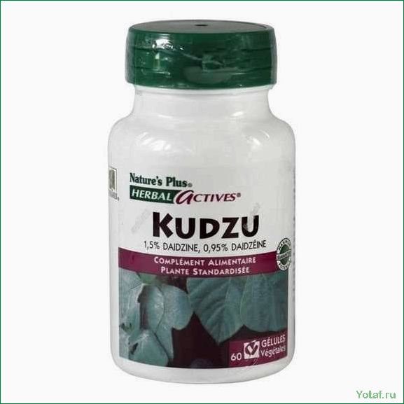 Как определить и удалить кудзу