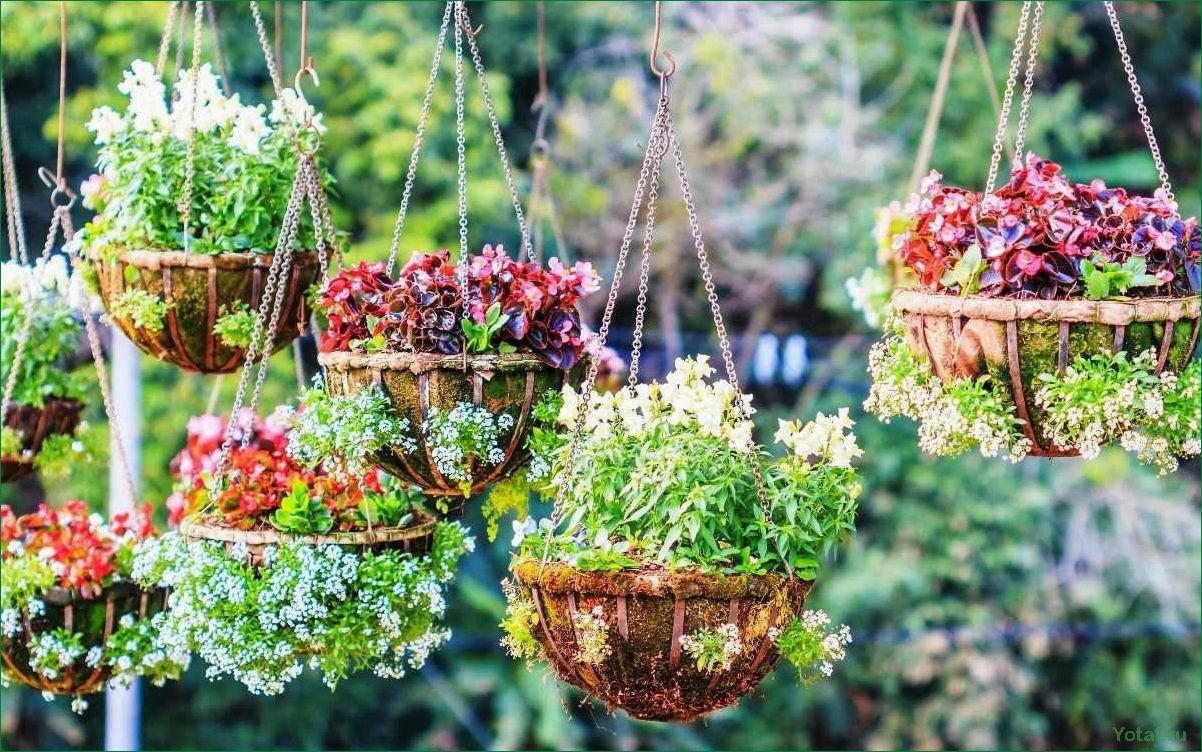 Лучшие красочные растения для подвесных корзин