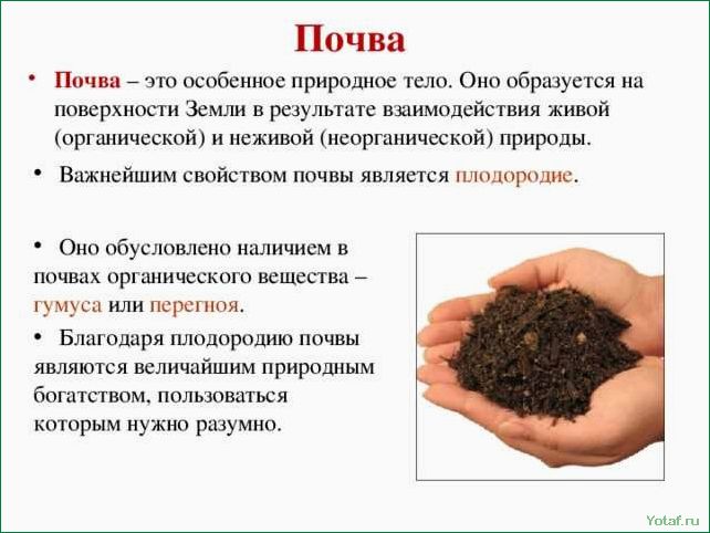 Понятие о почвенных добавках